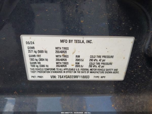 2024 TESLA MODEL Y