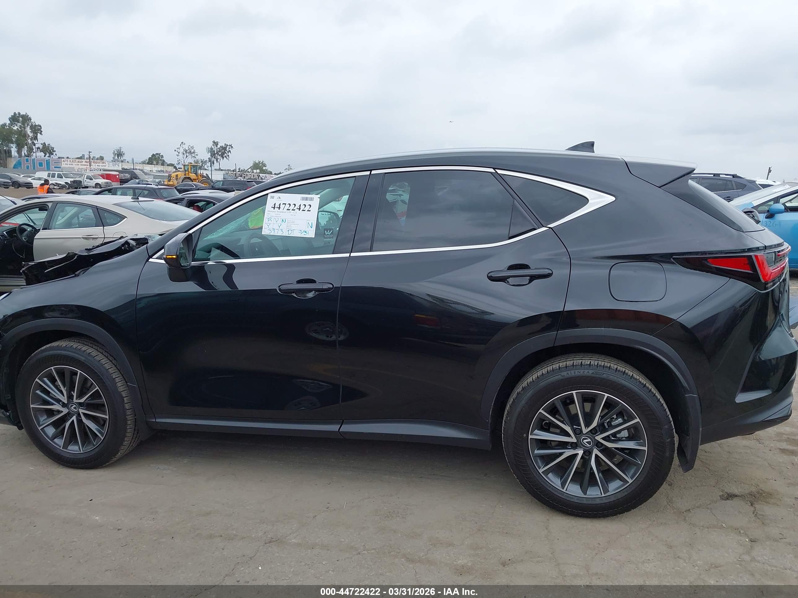 2025 LEXUS NX 250 PREMIUM