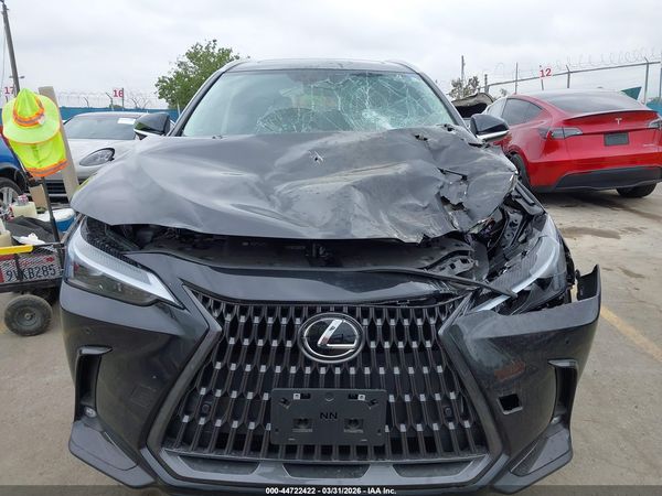 2025 LEXUS NX 250 PREMIUM