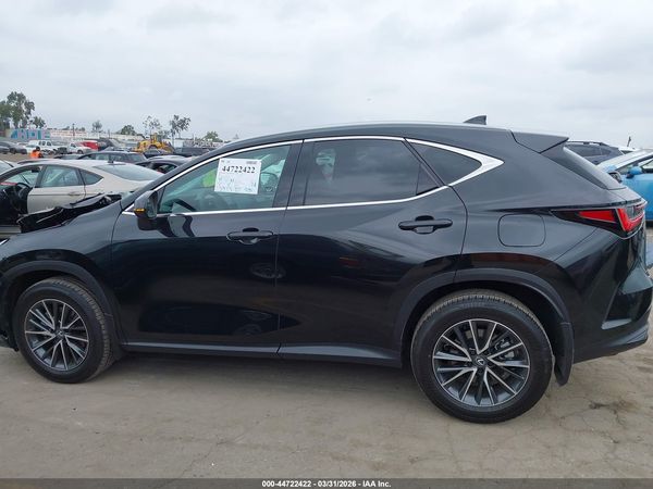 2025 LEXUS NX 250 PREMIUM