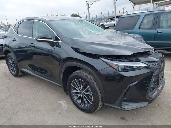 2025 LEXUS NX 250 PREMIUM