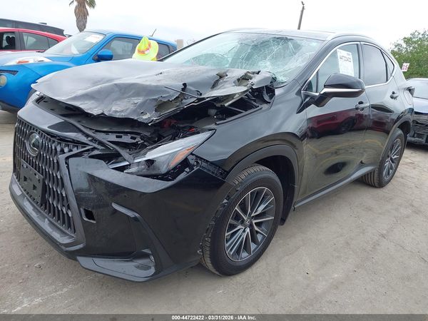 2025 LEXUS NX 250 PREMIUM