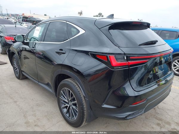 2025 LEXUS NX 250 PREMIUM