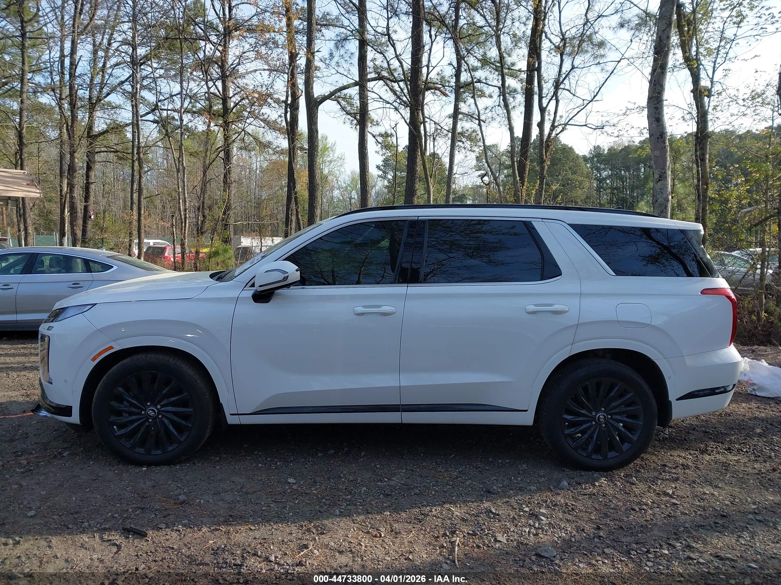 2025 HYUNDAI PALISADE