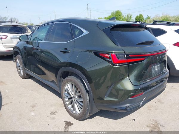 2024 LEXUS NX 350 LUXURY