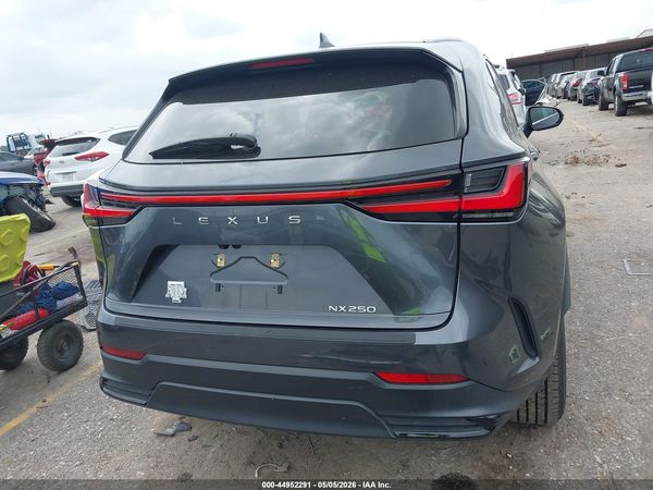 2024 LEXUS NX 250 PREMIUM