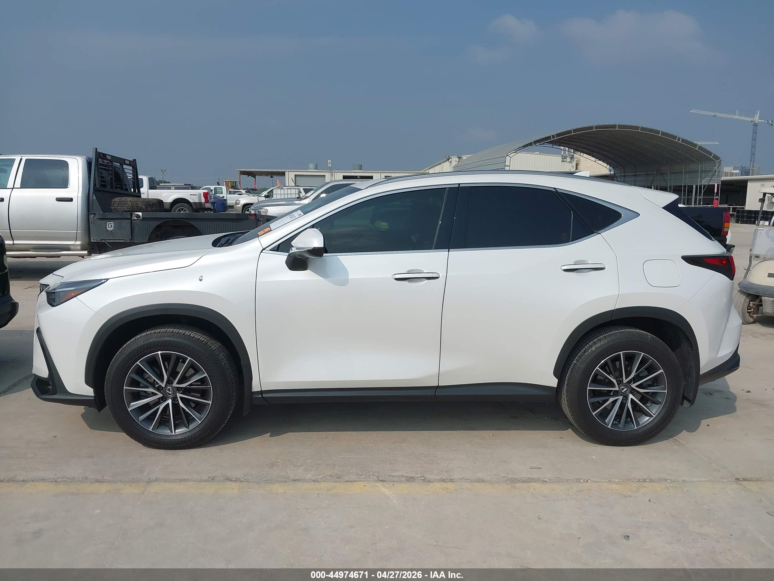 2025 LEXUS NX 250 PREMIUM