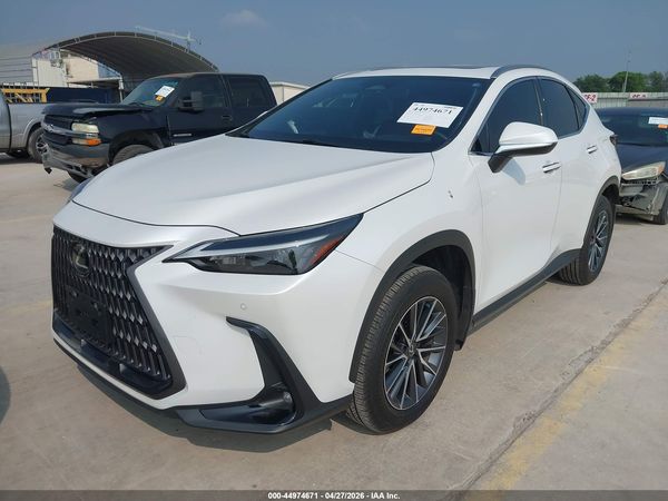 2025 LEXUS NX 250 PREMIUM