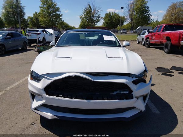 2019 FORD MUSTANG