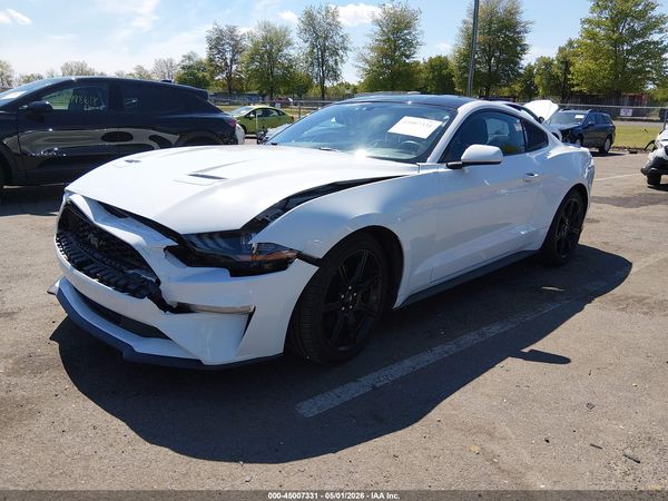 2019 FORD MUSTANG