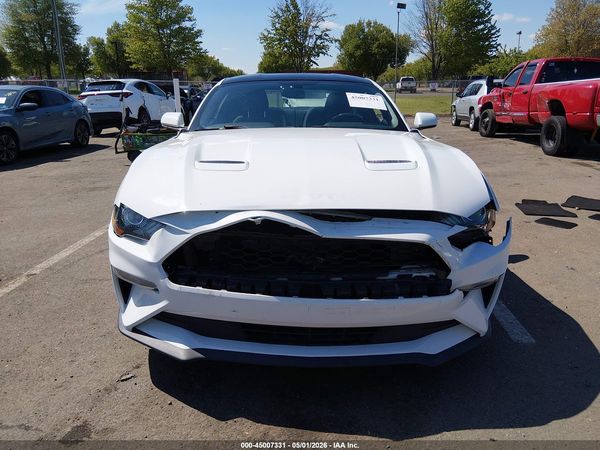 2019 FORD MUSTANG