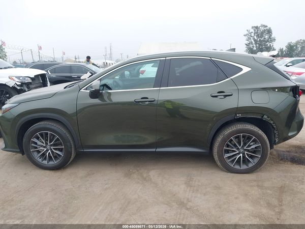 2025 LEXUS NX 250 350 Base