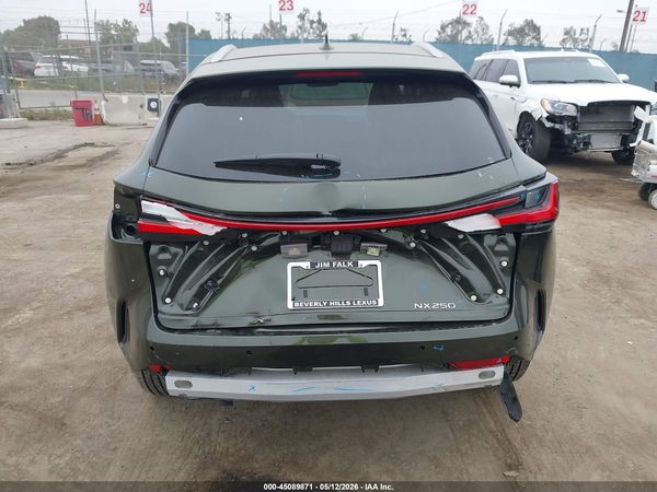 2025 LEXUS NX 250 350 Base