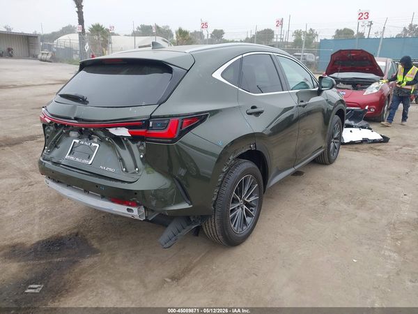 2025 LEXUS NX 250 350 Base