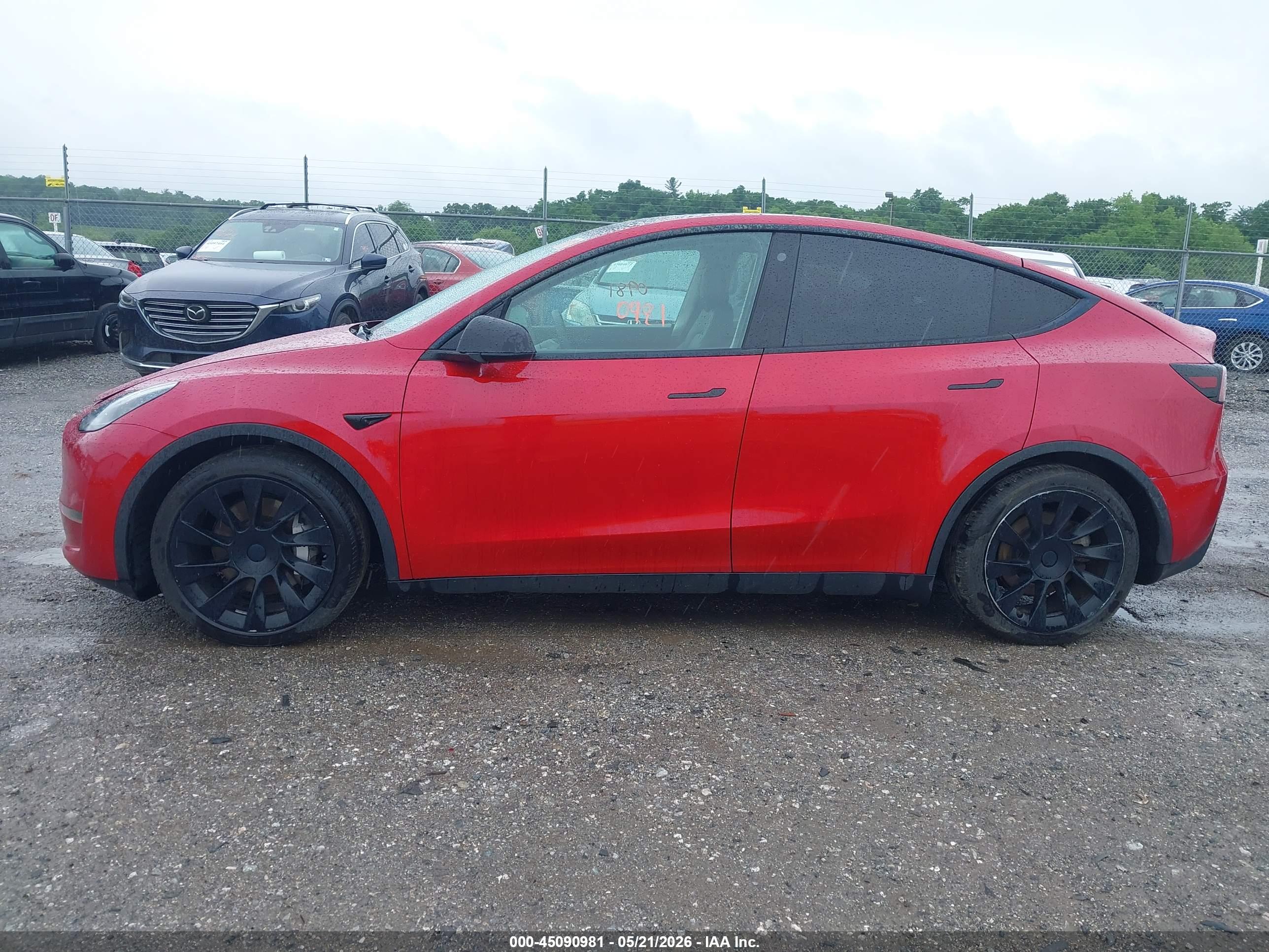 2021 TESLA MODEL Y