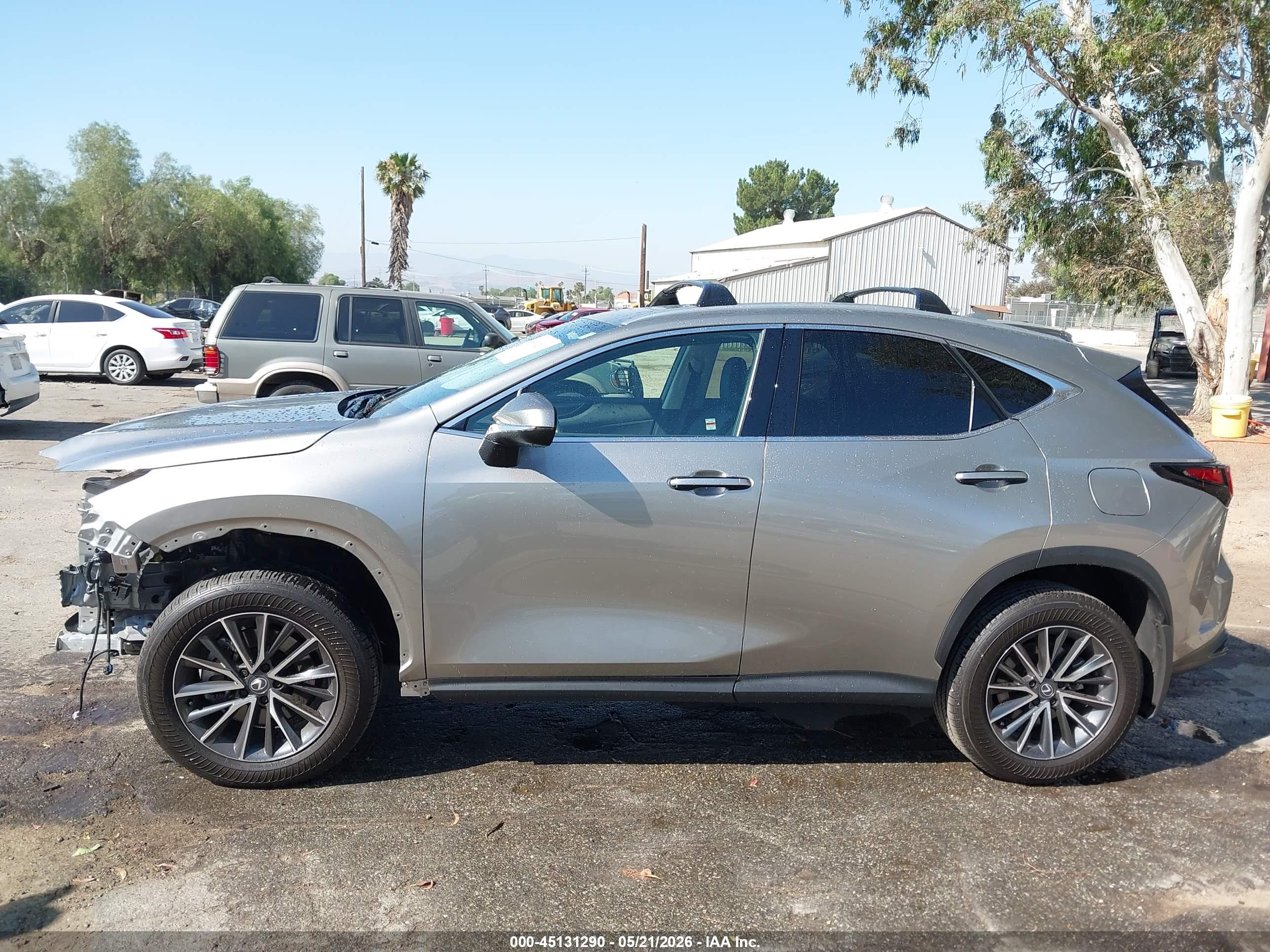 2025 LEXUS NX 250 350 Base