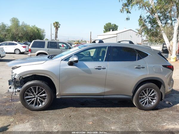 2025 LEXUS NX 250 350 Base