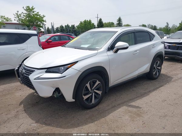 2019 LEXUS NX 300 300 Luxury