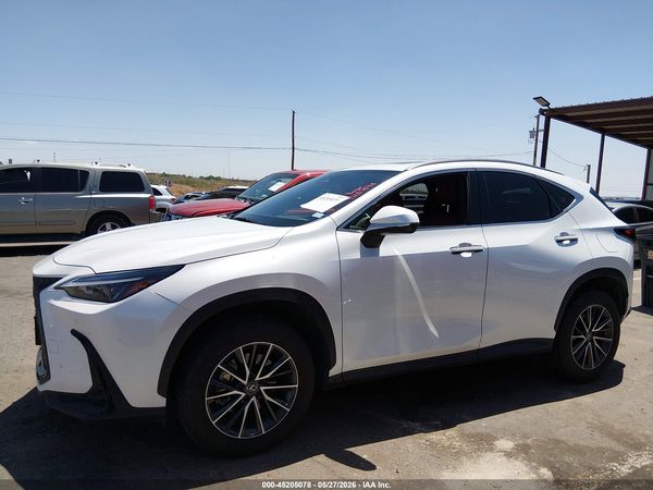 2024 LEXUS NX 250 PREMIUM