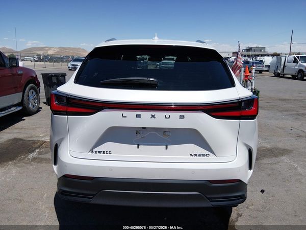 2024 LEXUS NX 250 PREMIUM