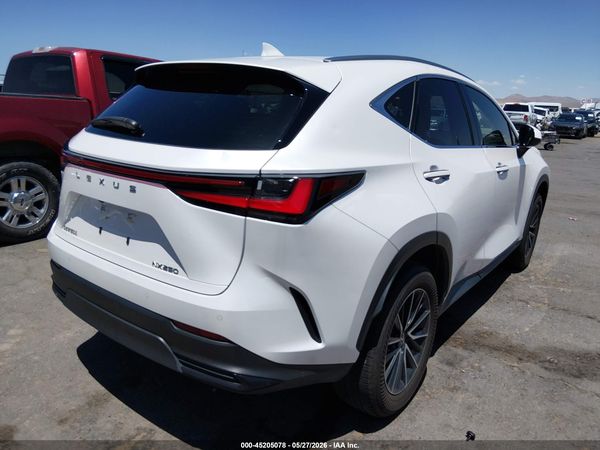 2024 LEXUS NX 250 PREMIUM