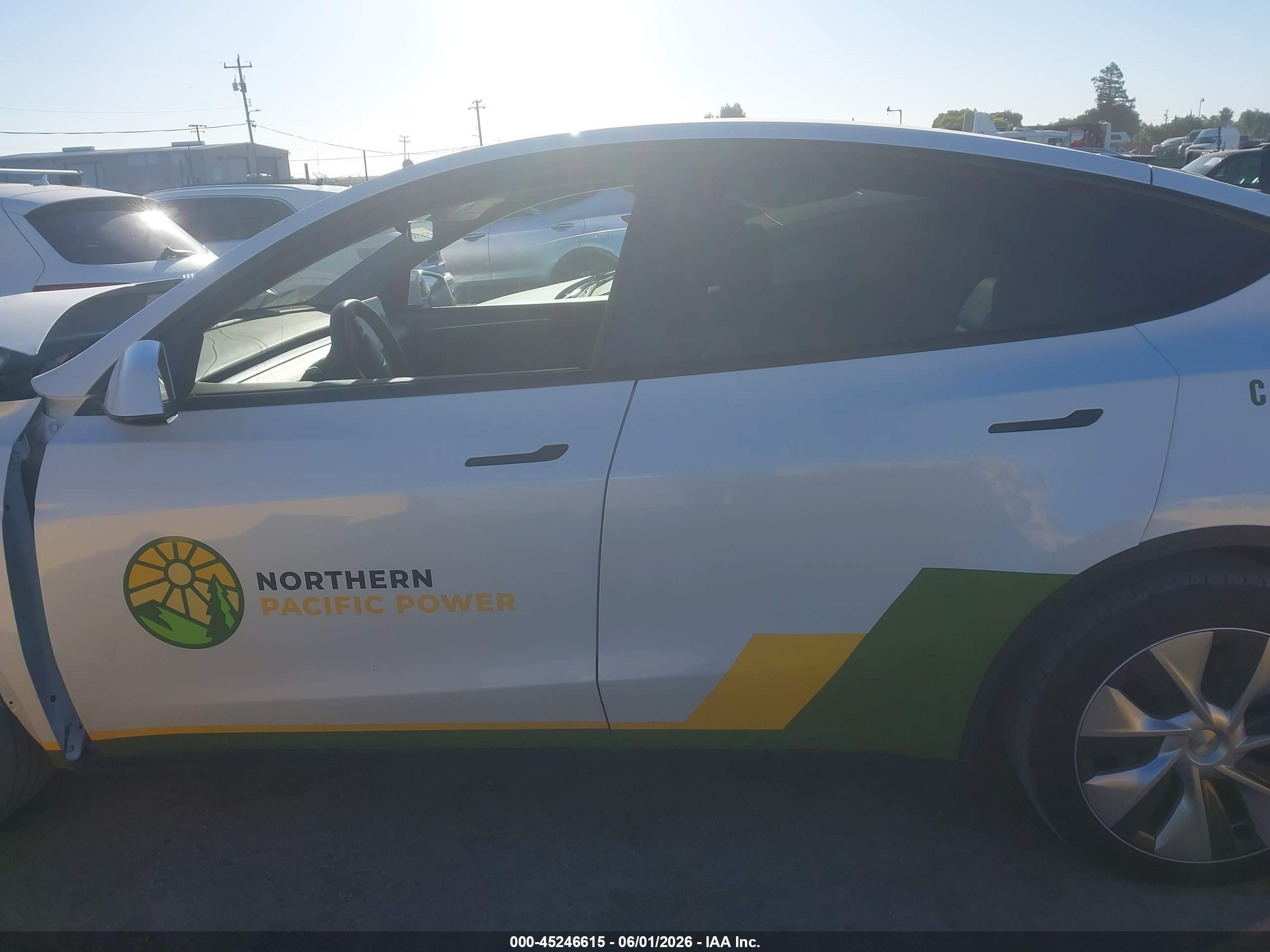 2023 TESLA MODEL Y RWD