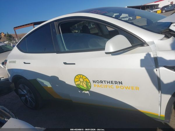 2023 TESLA MODEL Y RWD