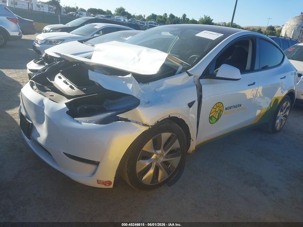 2023 TESLA MODEL Y RWD
