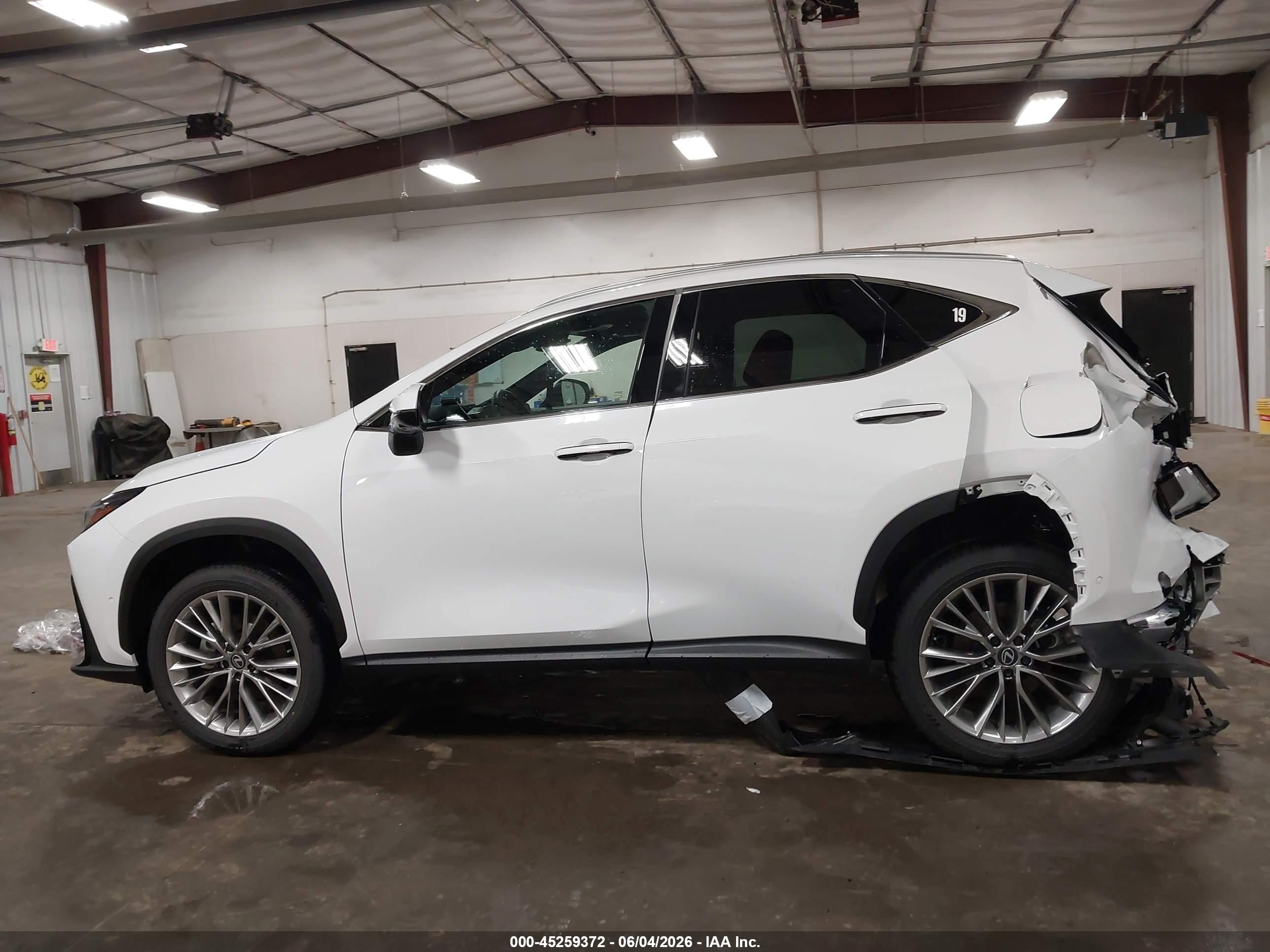 2026 LEXUS NX 350 LUXURY