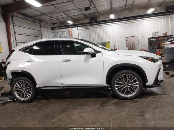 2026 LEXUS NX 350 LUXURY