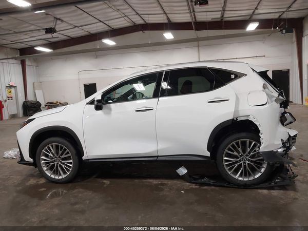 2026 LEXUS NX 350 LUXURY