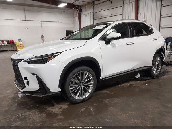 2026 LEXUS NX 350 LUXURY
