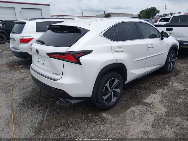 2019 LEXUS NX 300 300 Luxury