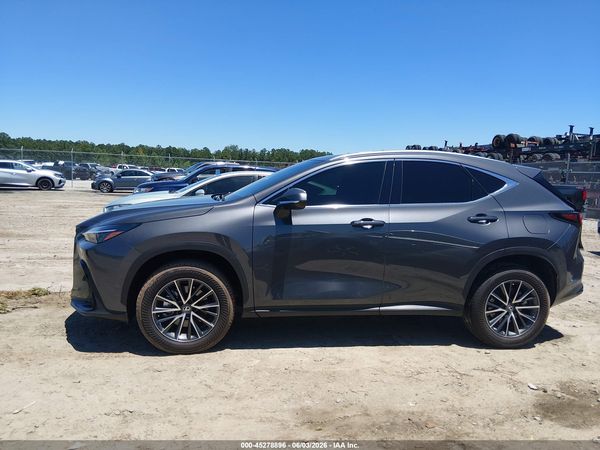 2025 LEXUS NX 250 PREMIUM