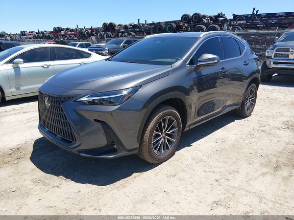 2025 LEXUS NX 250 PREMIUM