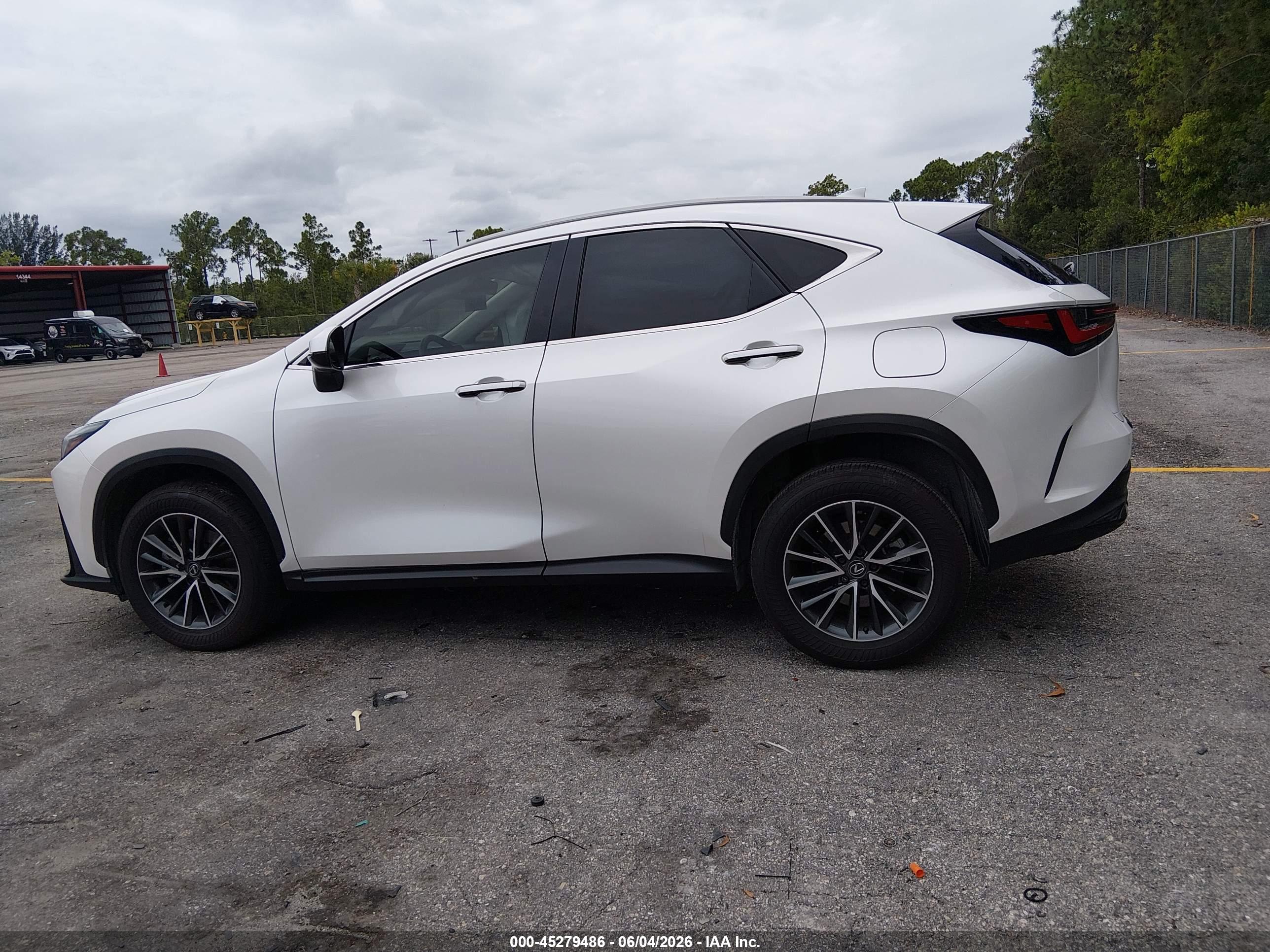 2025 LEXUS NX 250 250 Base