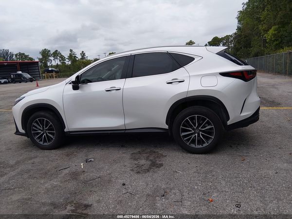 2025 LEXUS NX 250 250 Base
