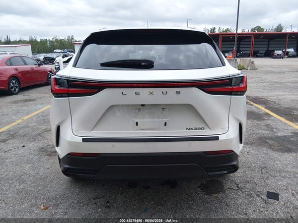 2025 LEXUS NX 250 250 Base