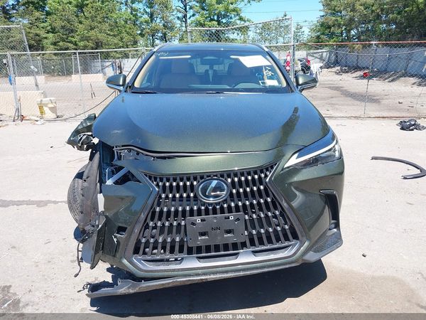 2025 LEXUS NX 350 PREMIUM