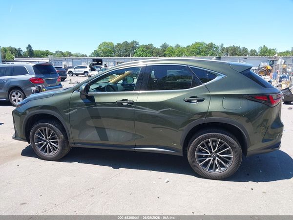 2025 LEXUS NX 350 PREMIUM