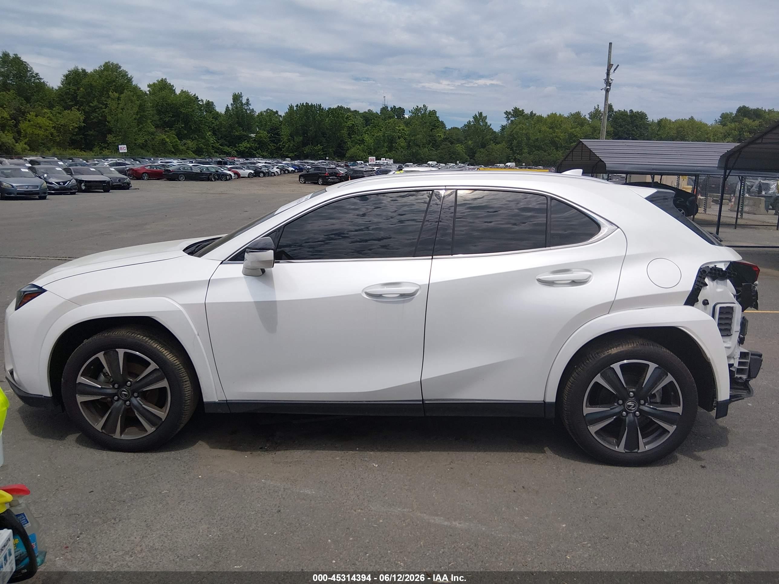 2025 LEXUS UX 300H PREMIUM