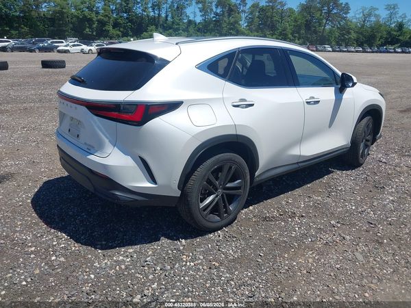 2025 LEXUS NX 450H+ LUXURY