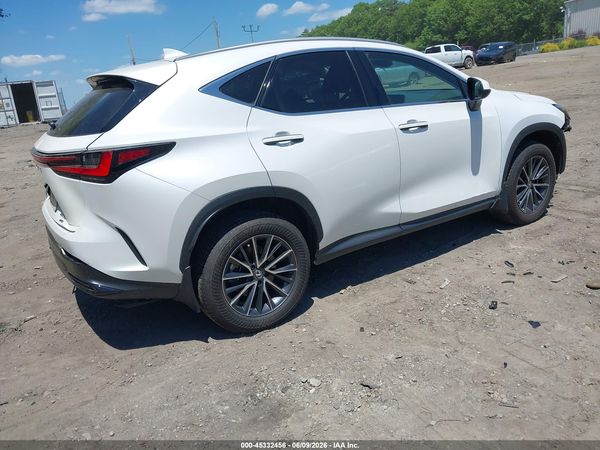 2024 LEXUS NX 350 PREMIUM