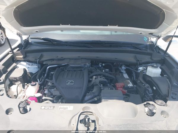 2024 LEXUS TX