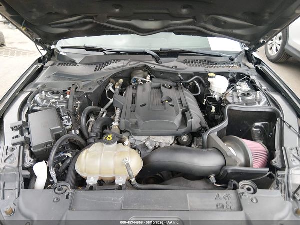 2019 FORD MUSTANG ECOBOOST