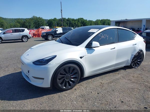 2024 TESLA MODEL Y