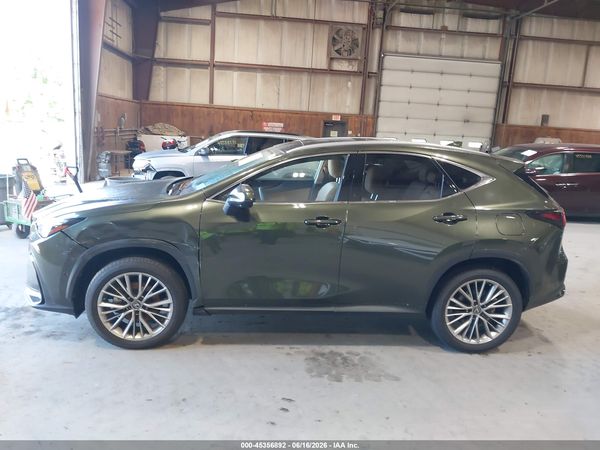 2026 LEXUS NX 350H LUXURY