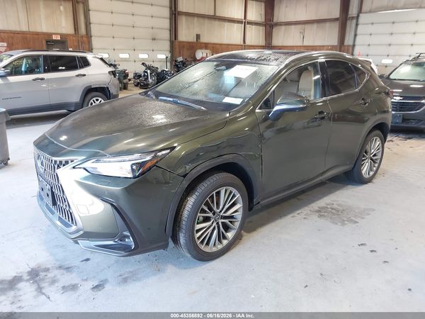 2026 LEXUS NX 350H LUXURY