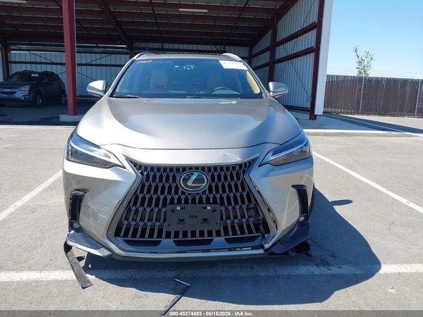 2025 LEXUS NX 350 PREMIUM