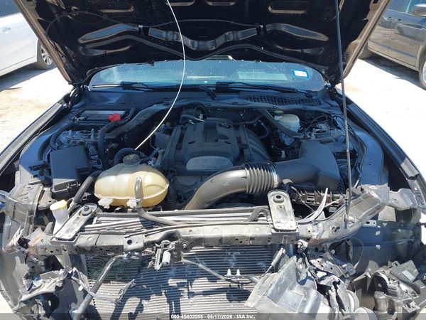 2019 FORD MUSTANG